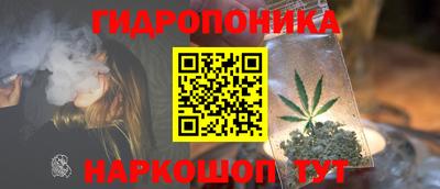 a pvp Лесосибирск