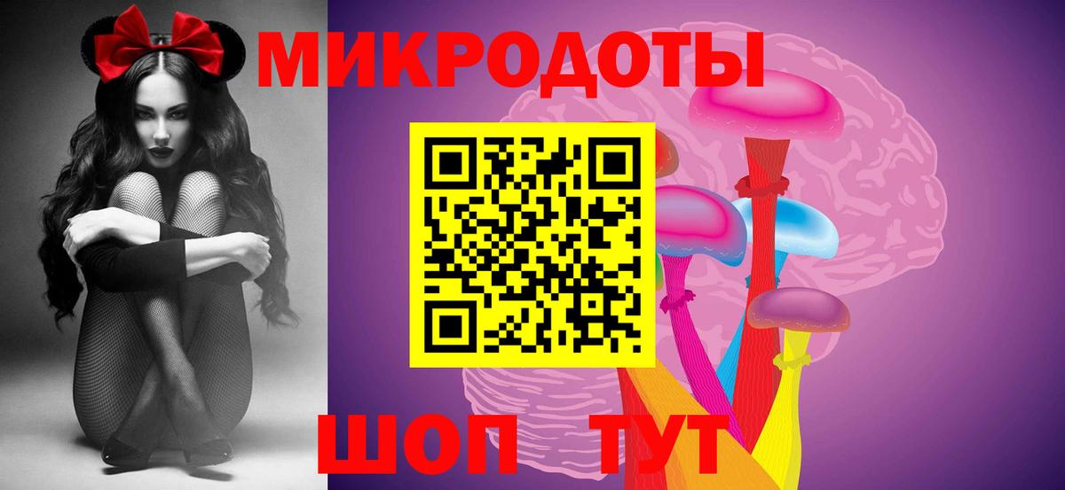 Псилоцибиновые грибы Cubensis  где продают   Зерноград  Вход с VPN 