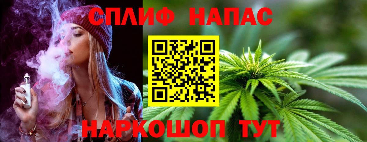 Канабис сатива Зерноград